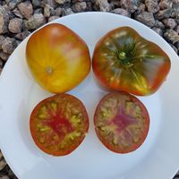 Red Target -  Krasnaya Mishen